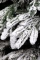 დათოვლილი ნაძვის ხე სილიკონის წიწვებით SP604SNOW 210 სმ - Image 2
